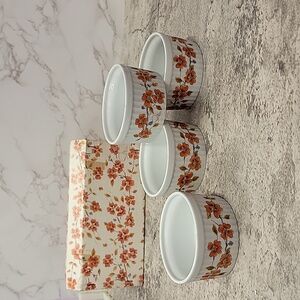 Vintage Saltera Winter Dogwood Japanese Ramekin set new in box